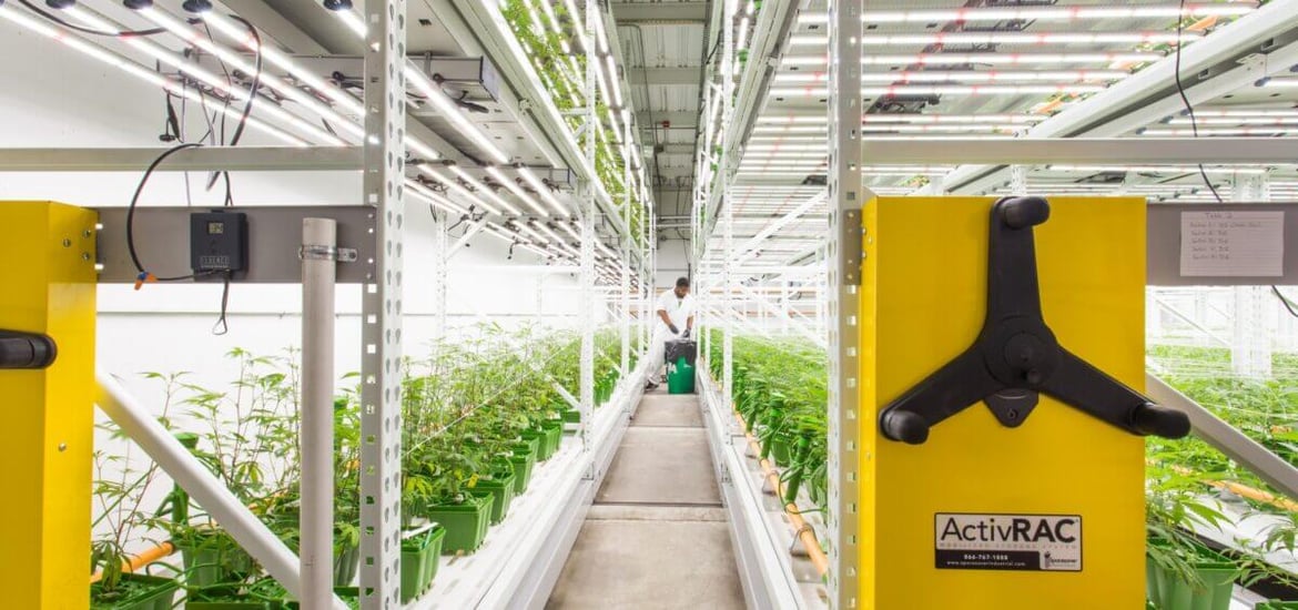 Cannabis Vertical Growing Rack