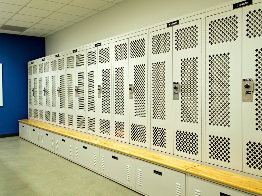 Bi-fold FreeStyle Personal Storage Lockers
