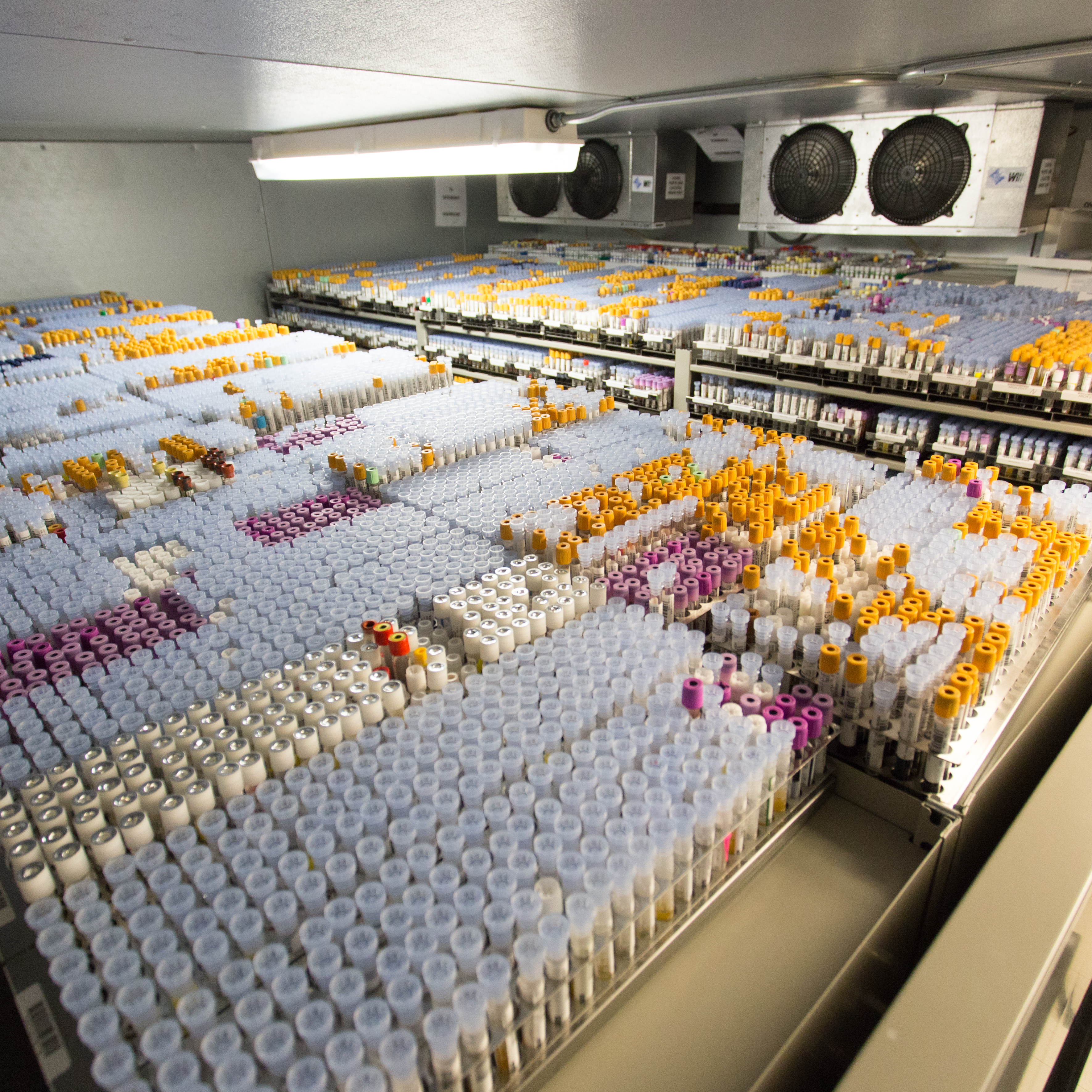 Refrigerated test tube storage in pathology laboratory