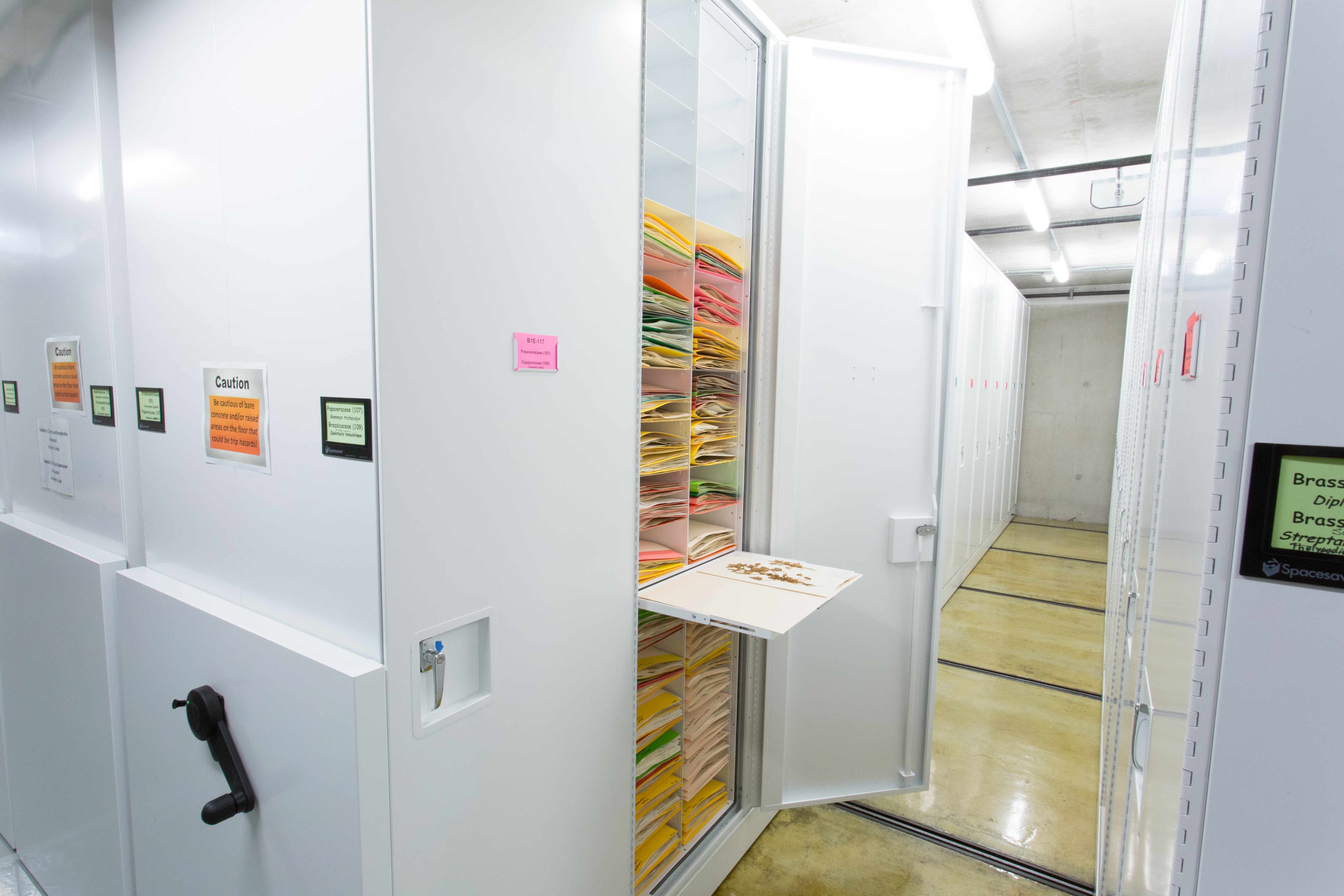 Cabinet storing botany samples with pull out reference shelf to review materials at California Academy of Sciences