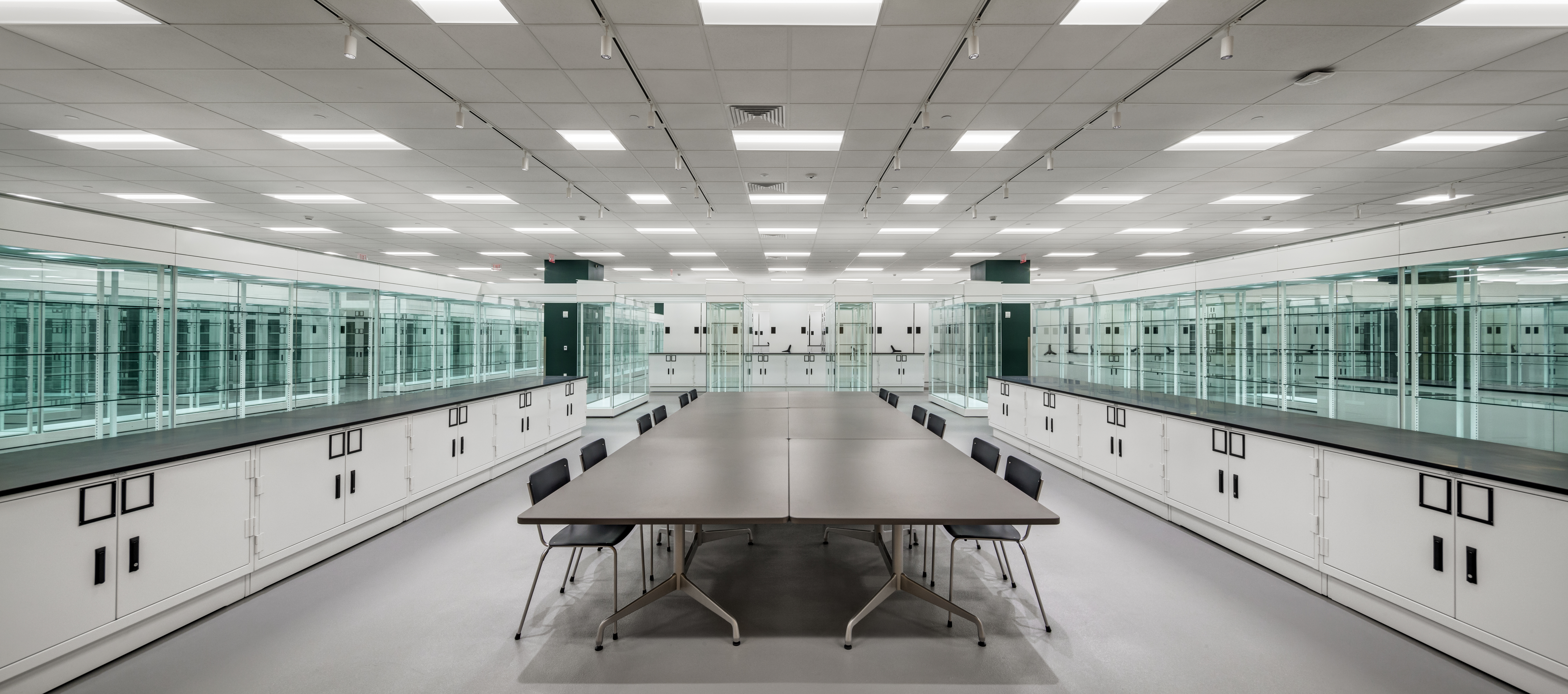 Counter-Height Museum Cabinets at Collections Studies Center at Yale University Art Gallery