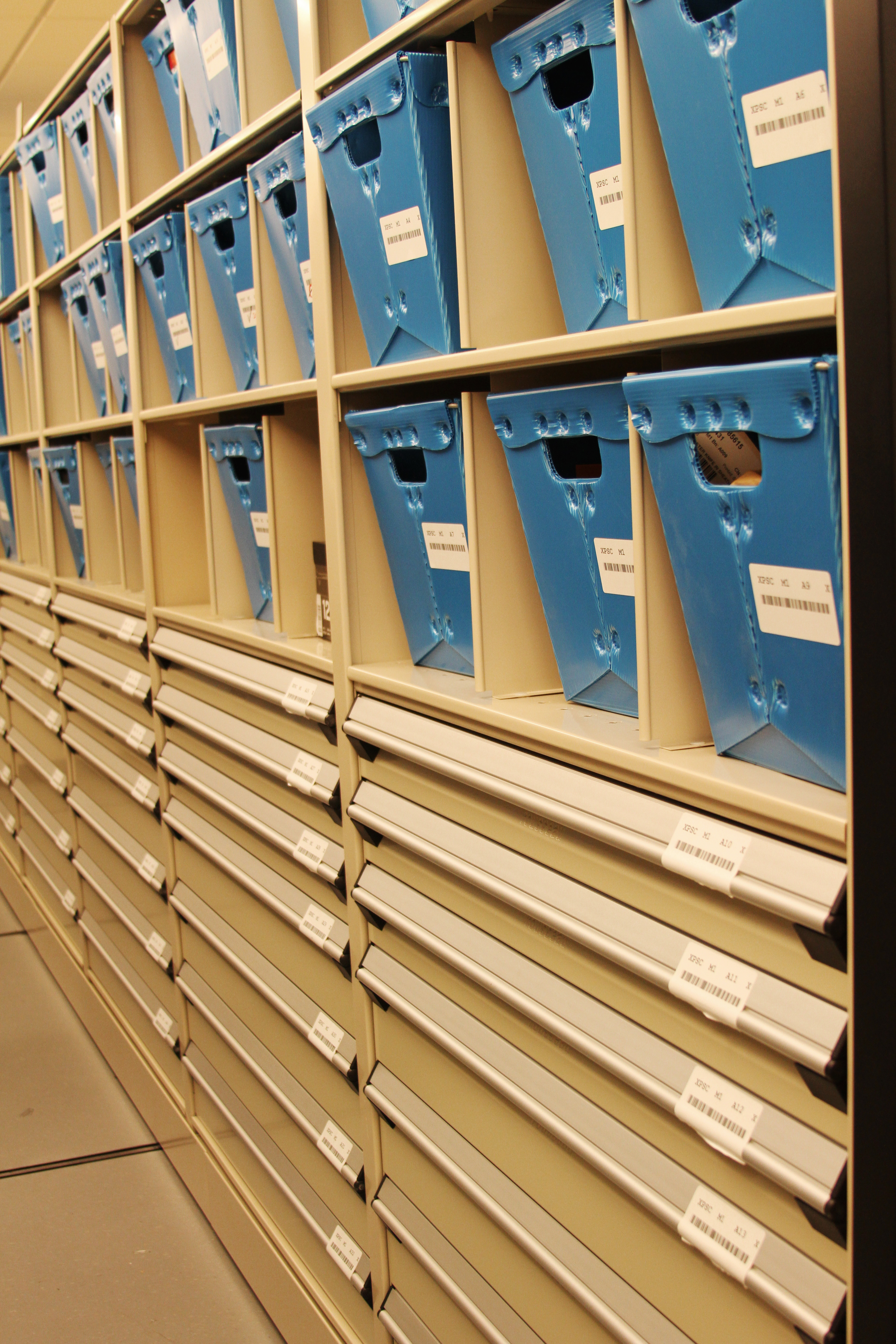 Evidence on High-Density Shelving at Public Safety Building