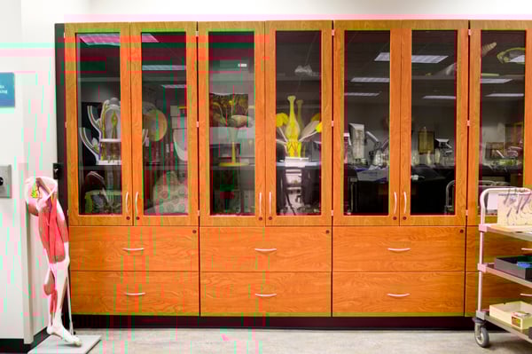 hamilton caseworks lab 