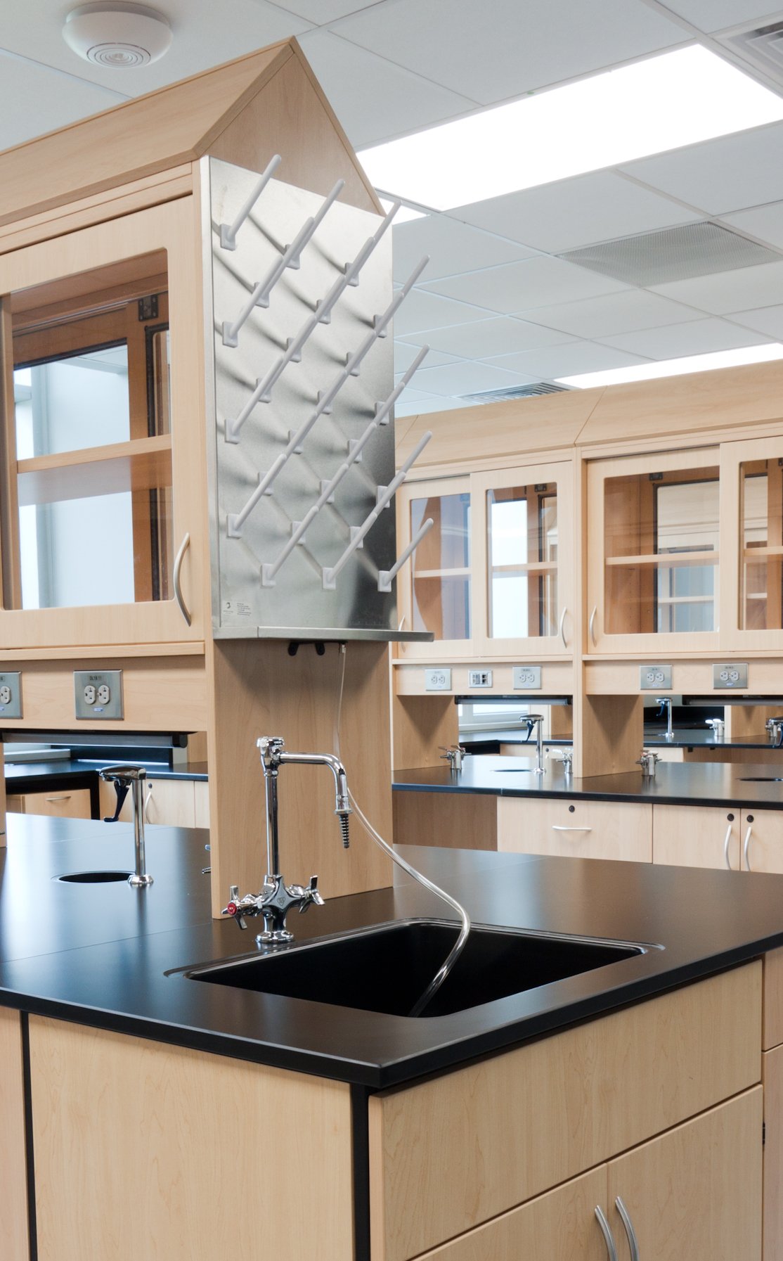 hamilton caseworks lab .jpggf,ihg