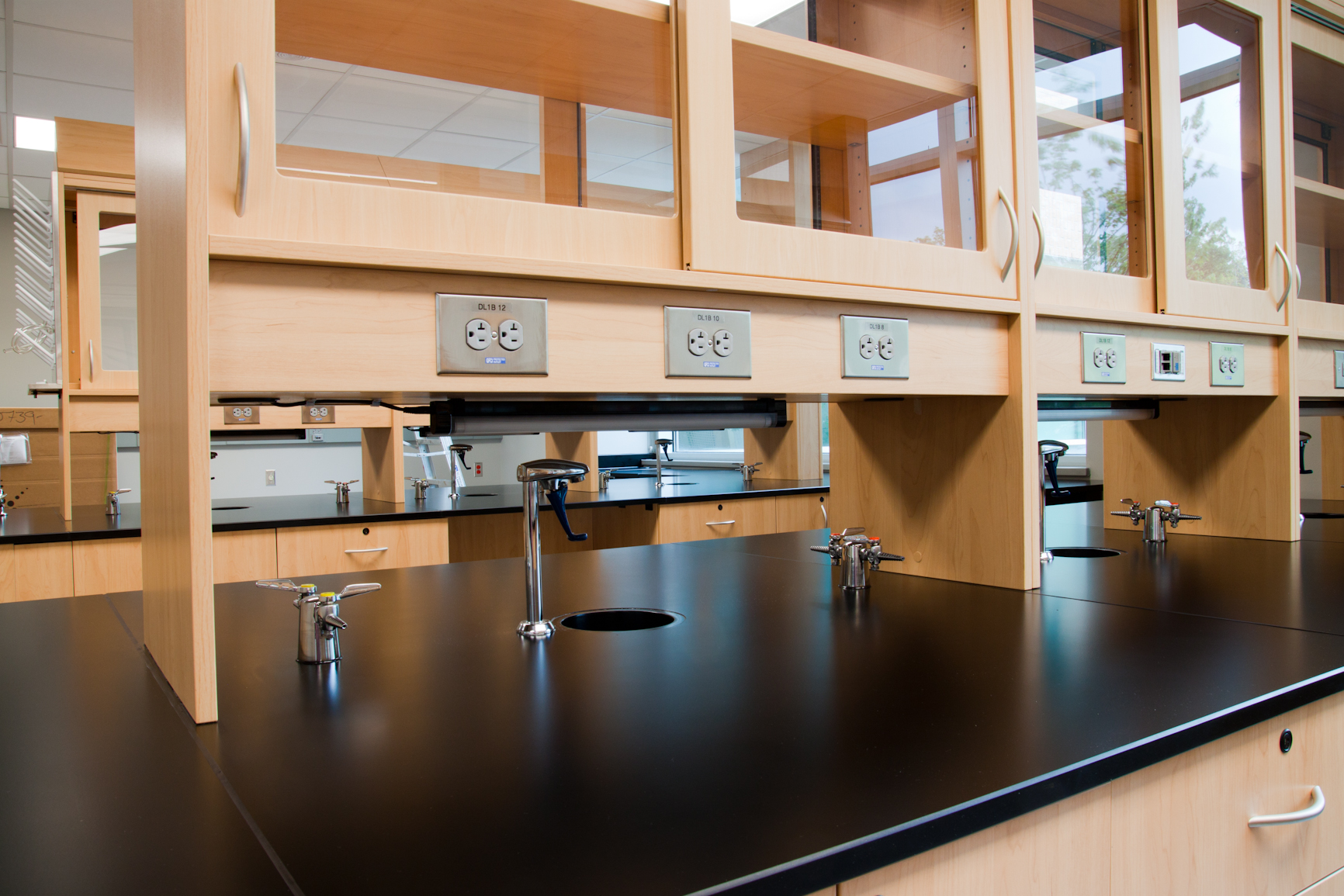 hamilton caseworks lab .jpgggg