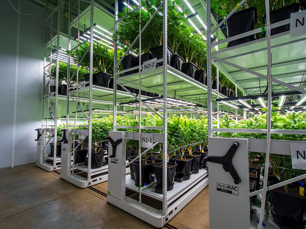 Medical Cannabis Commercial Grow Spacesaver Vertical Racking