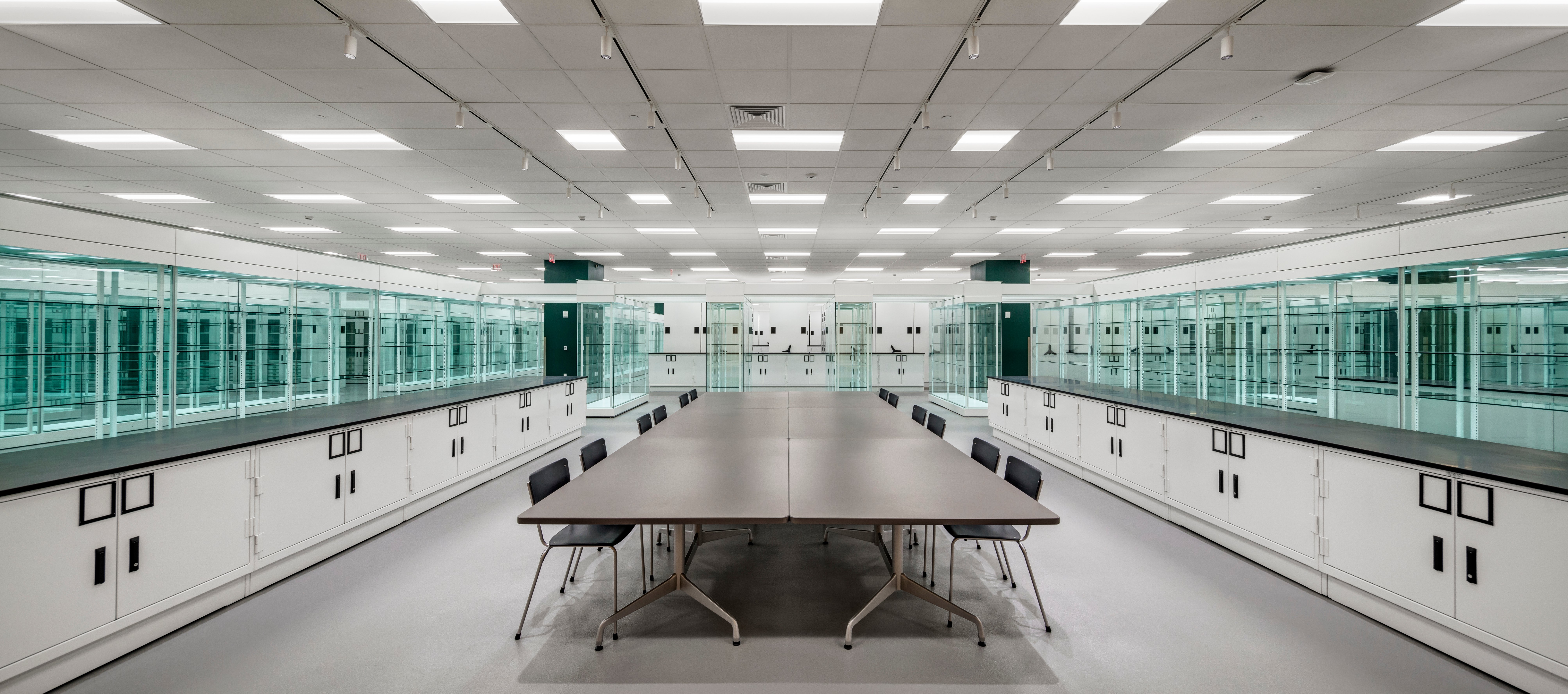 Counter-Height Museum Cabinets at Collections Studies Center at Yale University Art Gallery