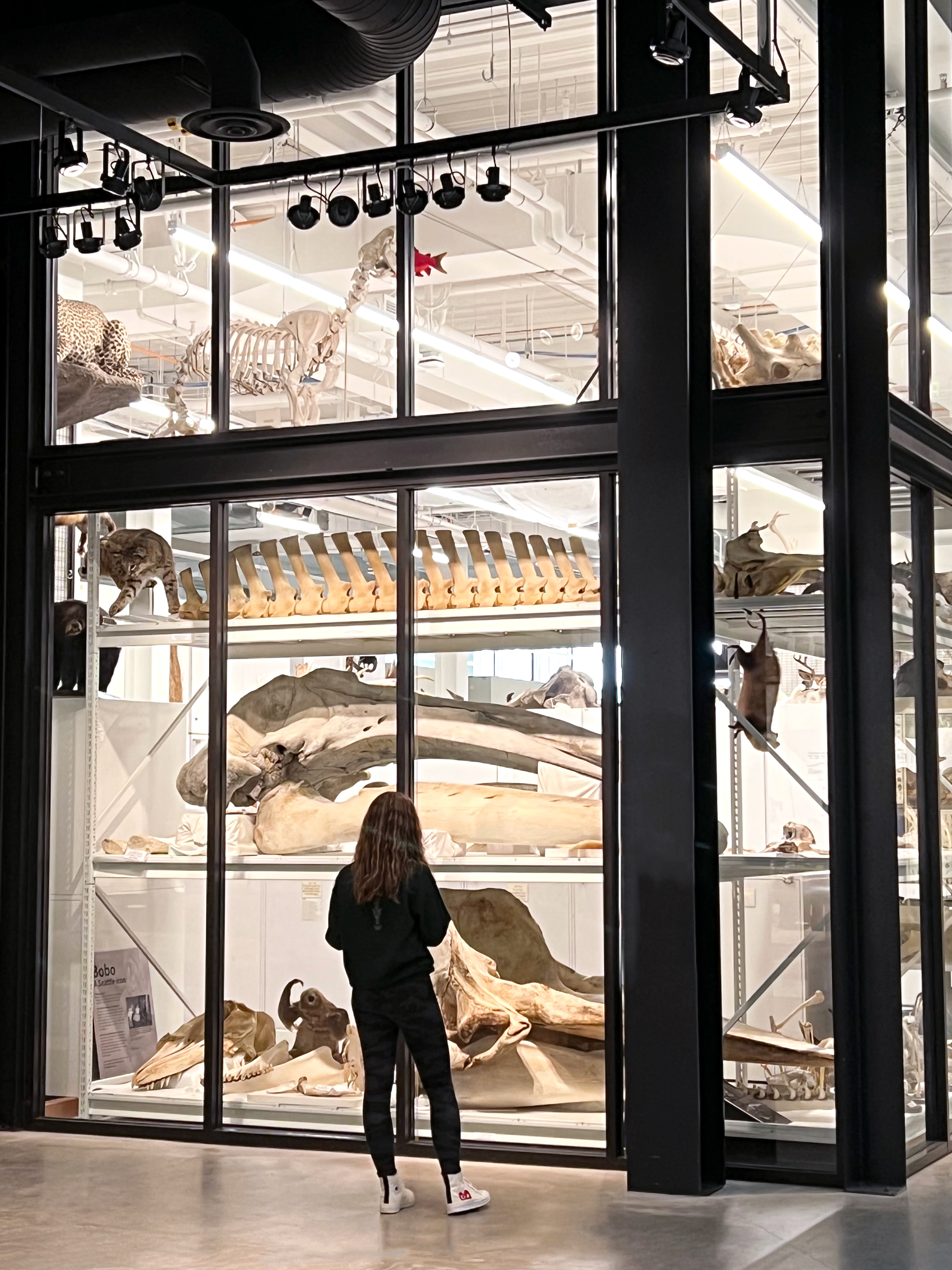 High Density Shelving Visibly Displaying Artifacts
