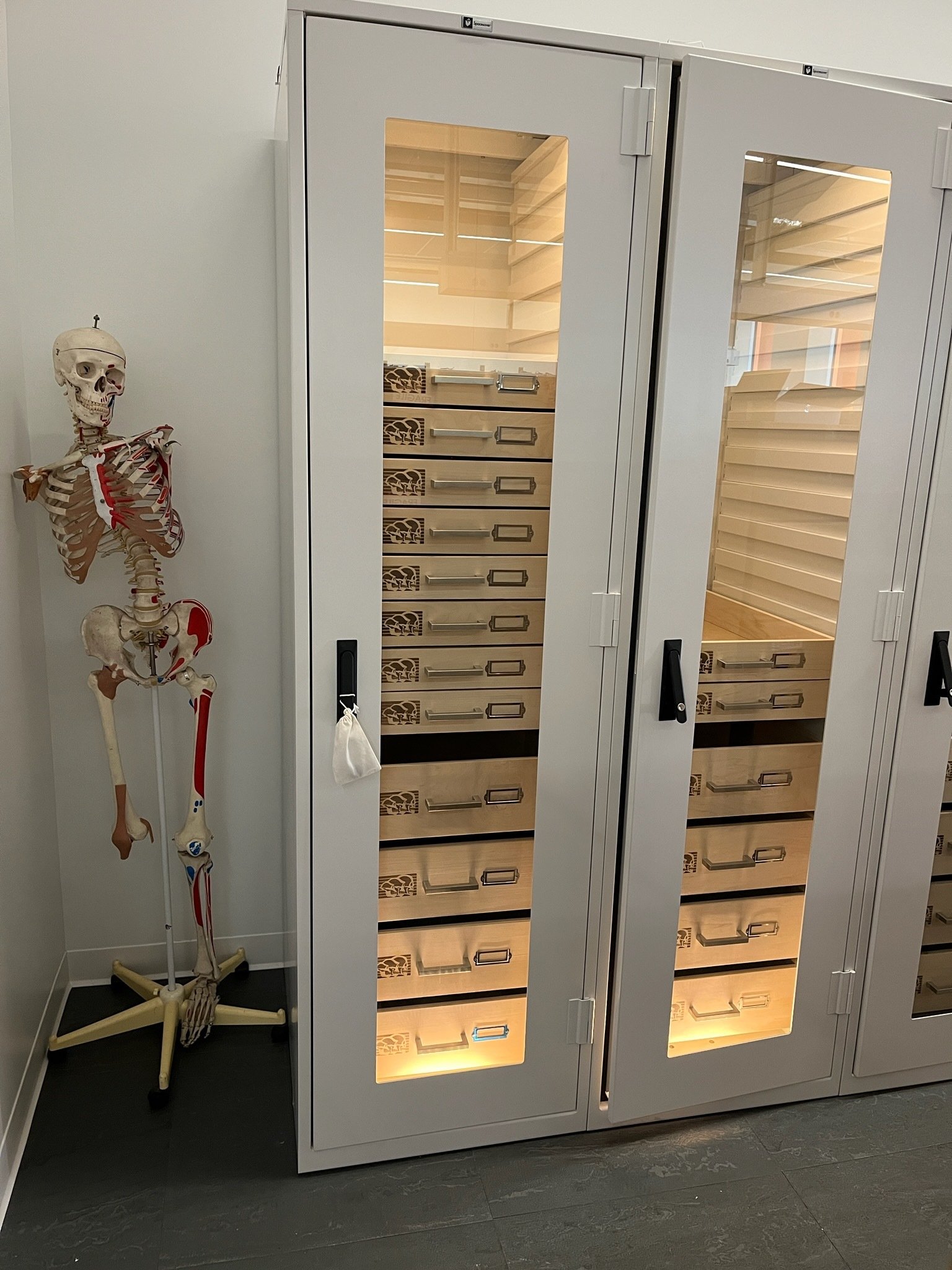 Secure 920 Series Illuminated Museum Cabinet
