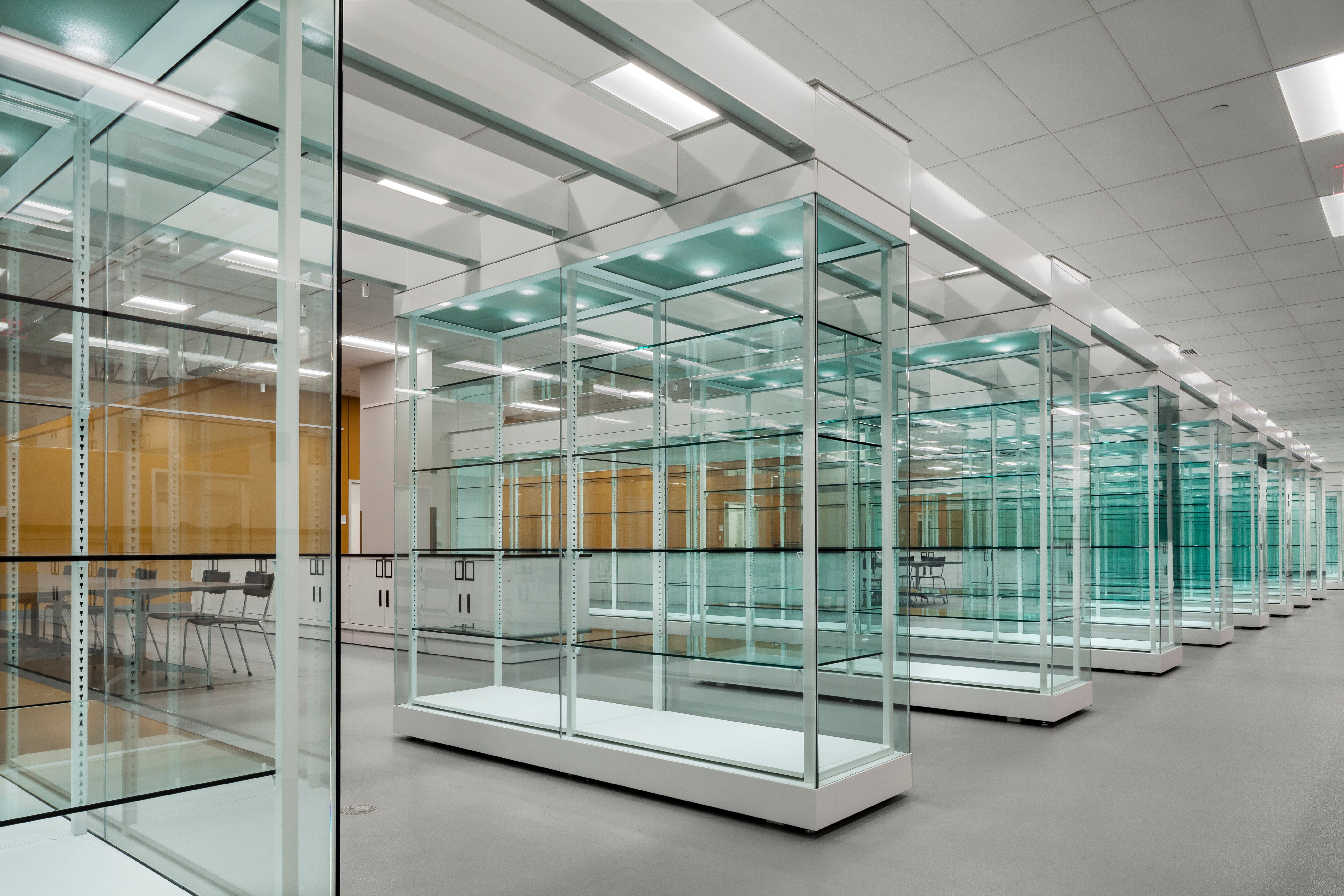 University Collections Display Shelving Spacesaver