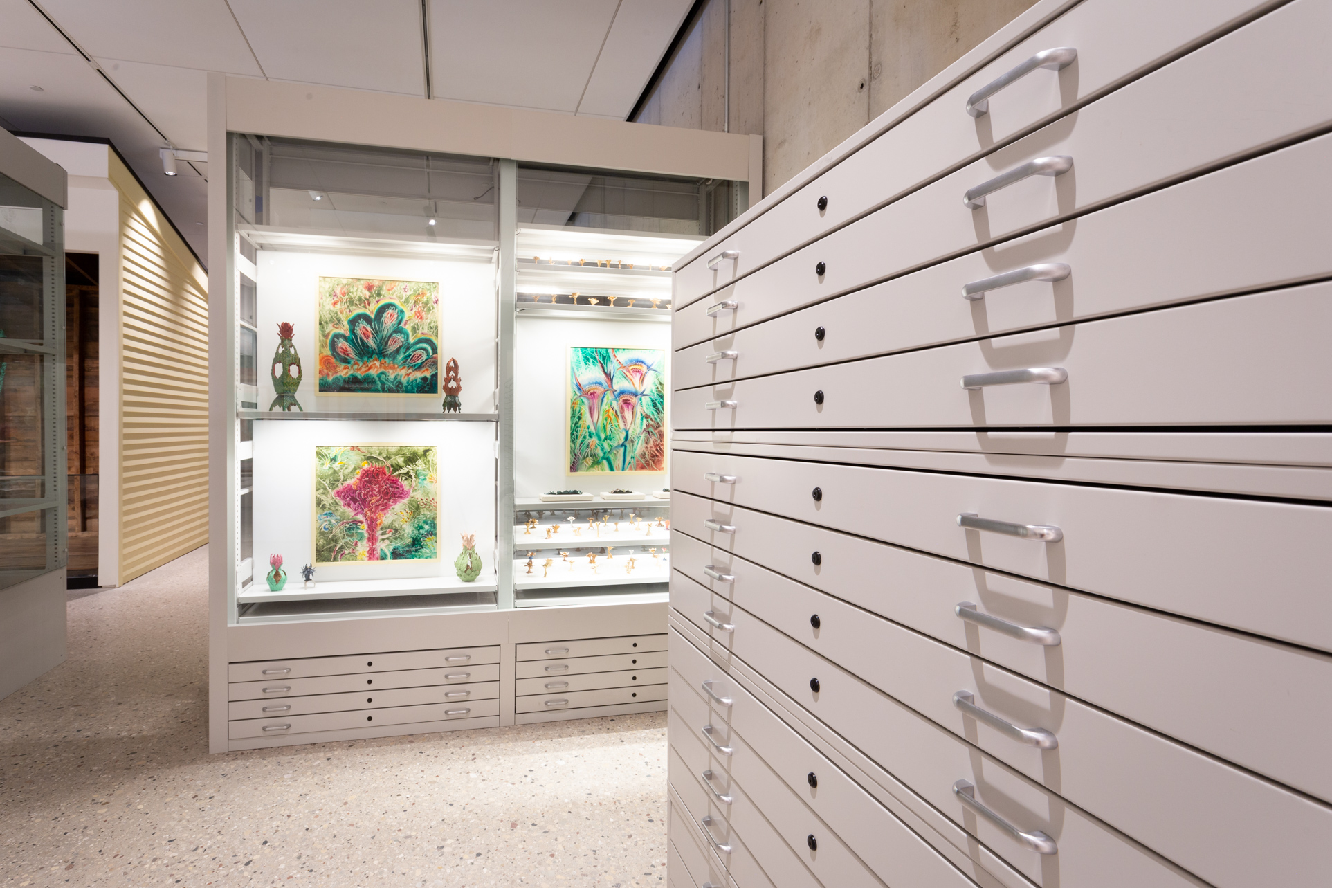 Visible Museum Shelving with Flat-file Storage