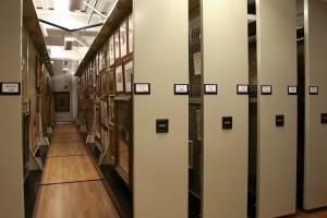 Gallery Storage Shelving 1